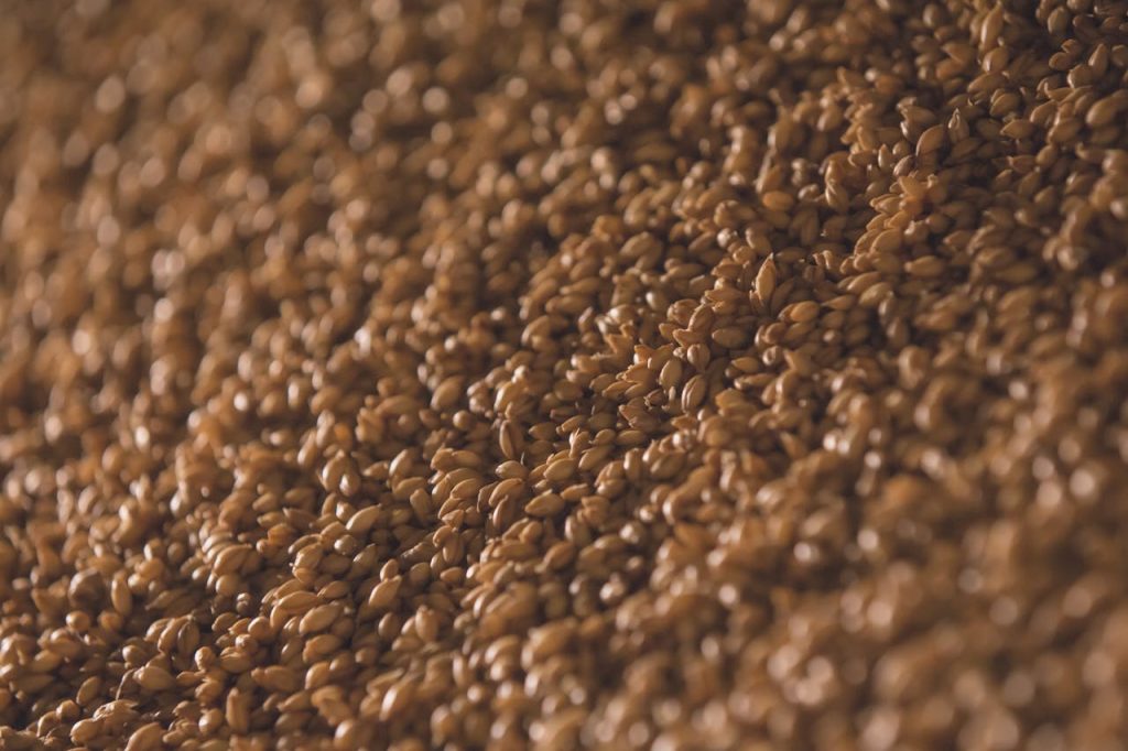 brown-seeds-1296262 A detailed and textured view of barley grains, suitable for brewing and culinary uses.
